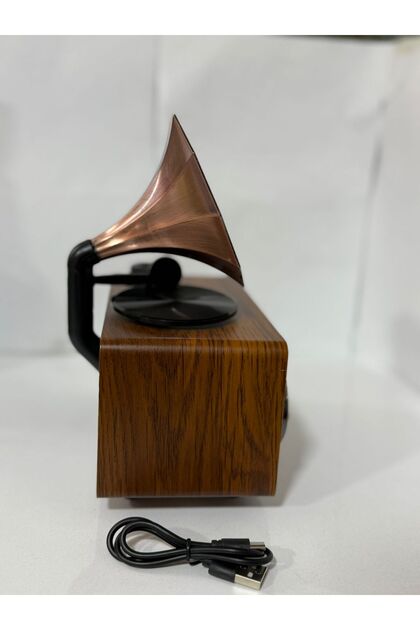 BLOMSTER Everton Rt-744 Gramafon Görünümlü Nostajık Radyo Müzik