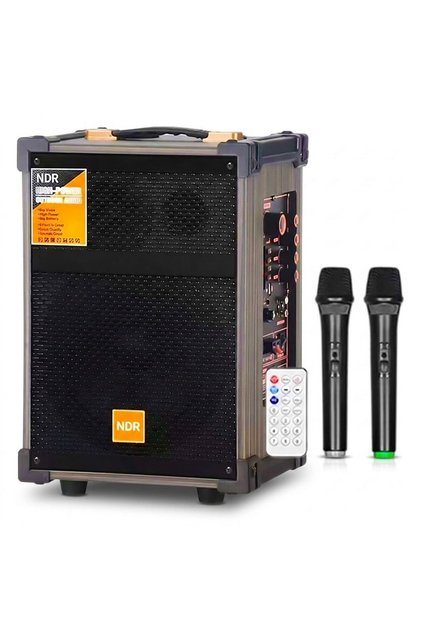 Ahşap Kasalı Bluetooth Hoparlör Çift Kablosuz Mikrofonlu Taşınabilir Karaoke Speaker