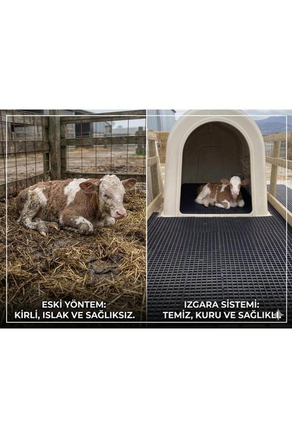 ZoolifekTrakya Hijyenik Buzağı Izgarası - Kaymaz ve Kolay Temizlenir Hayvan Altlığı-50*100 1 ADET