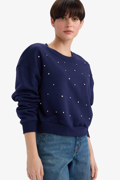 Boxy Fit Crew Neck Embroidered Thick Sweatshirt G2153Ax25Wn