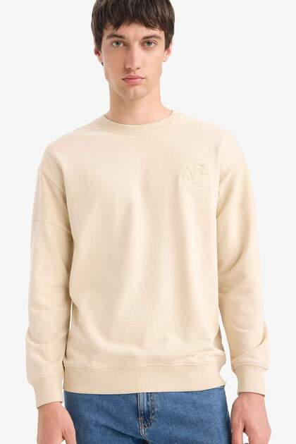 Boxy Fit Relaxed Fit Sweatshirt mit Rundhalsausschnitt und Knöpfen F0118AX25AU