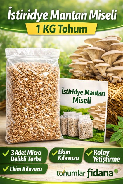 Istiridye Mantarı Miseli Tohumu Vakumlu 1 Kg Tohum 3 Adet Micro Delikli Torba ( Ekim Kılavuzu)