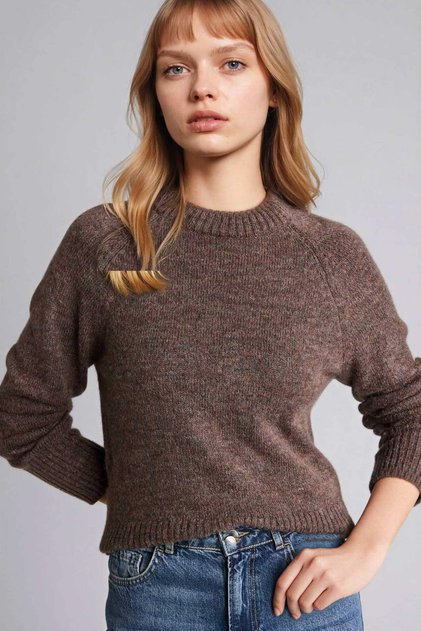 Regular Fit Crew Neck Sweater G6953Ax25Wn