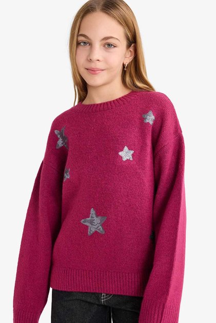 Crew Neck Embroidered Knitwear Sweater for Girls G2145A825Wn
