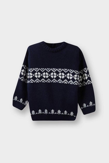 Crew Neck Patterned Knitwear Sweater Baby Boy F2600A525Au