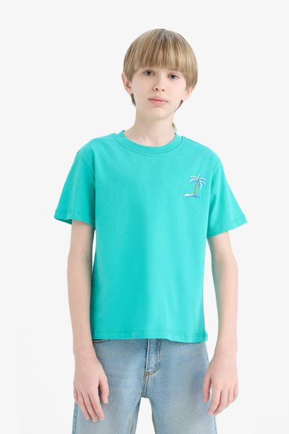 Crew Neck Embroidered Short Sleeve T-Shirt for Boys E0087A825Sm