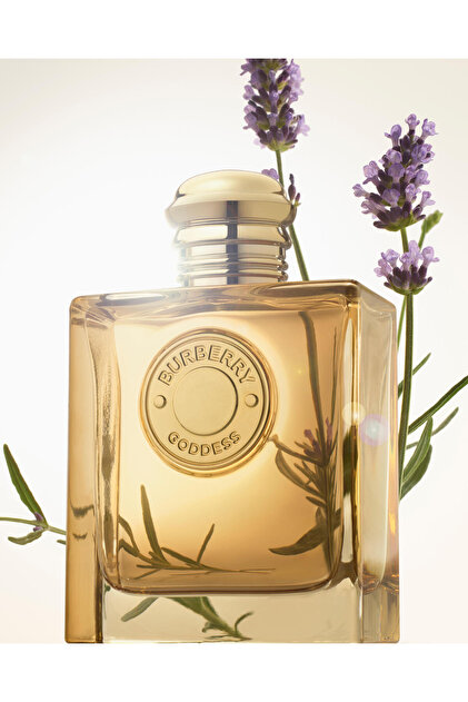 Burberry Goddess EDP Intense 50 ml Kadın Parfüm - Fiyatı, Yorumları