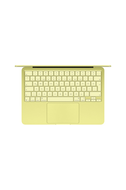 Apple 13