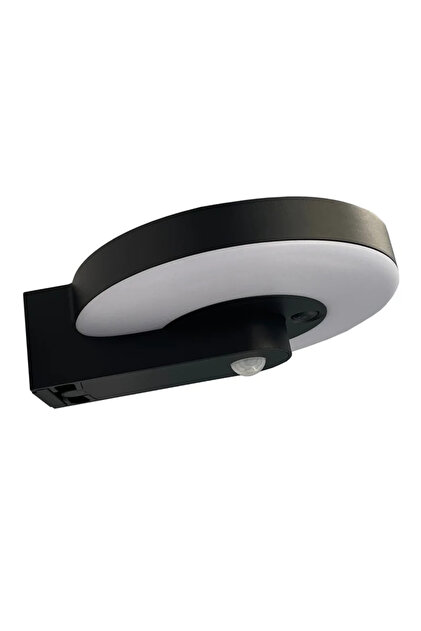 Aplica solara Telde, 1000 lm, lumina neutra, 4000K, IP44, senzor de miscare