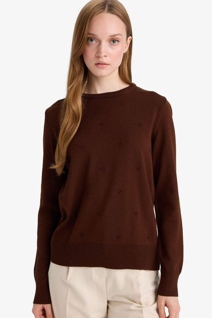 Regular Fit Crew Neck Knitwear Sweater F4084Ax25Wn