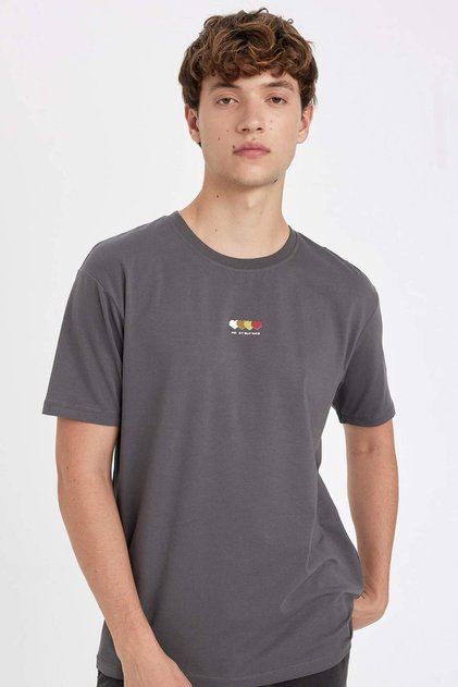 100% Cotton Regular Fit Crew Neck Printed Short Sleeve T-Shirt B5076Ax24Sp