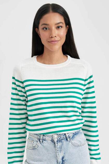 Regular Fit Soft Textured Crew Neck Striped Knitwear Sweater Z1317Az23Wn