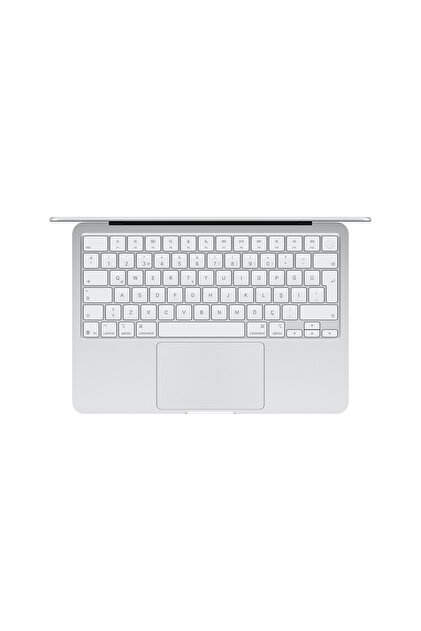 Apple 13