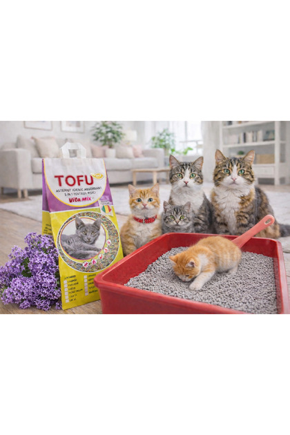 ASTERNUT CAT TOFU VITAMIX' Lilac Scent 20L