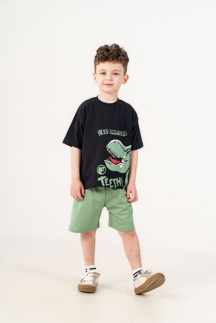 3-4-5-6 Years Old Dinosaur Printed Shorts Boys' Set