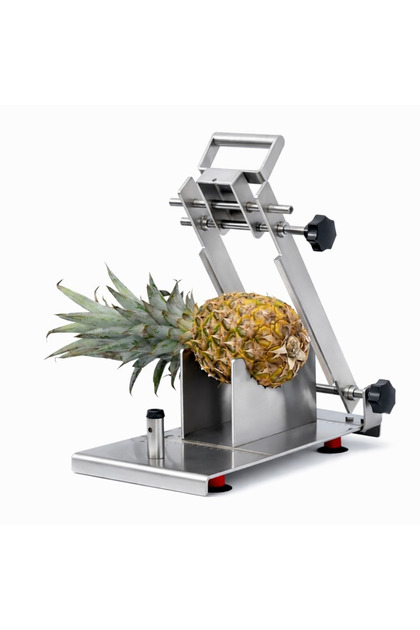 Ananas Giyotin Köşe Kesme Makinesi – CAN 0810