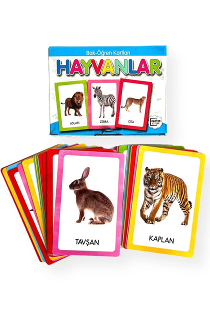 55'li Bak - Öğren Türkçe / İngilizce Bilgi Karton Kartlar 10x15cm Kuşe Baskı-Görsel Seçenekli 1 Kutu