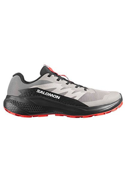 Salomon Alphaglide Erkek Gri Outdoor Ayakkabı L48000800 - Fiyatı