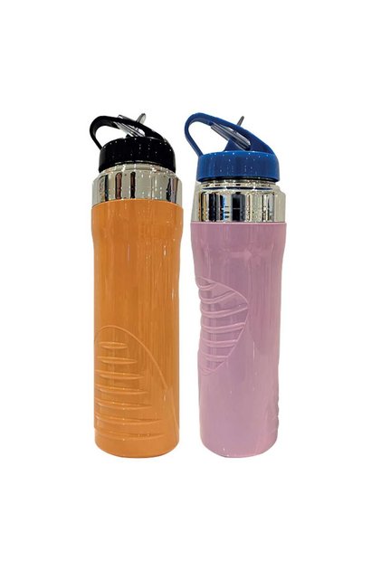 Stainless Steel Water Bottle Puro XNeo 600 ml Assorted Per Pc