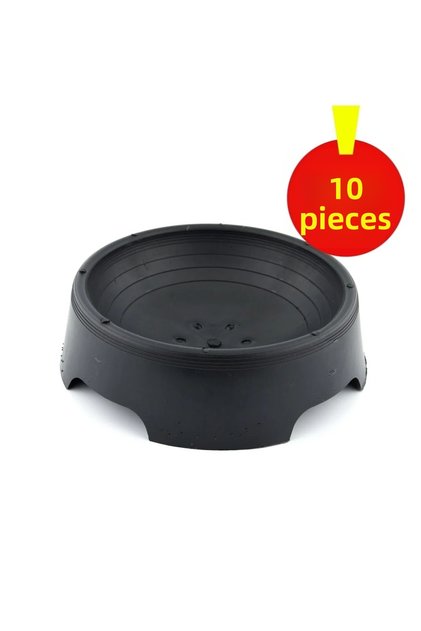 Nex Round Pigeon Folluk - Hatching - 10 Pieces