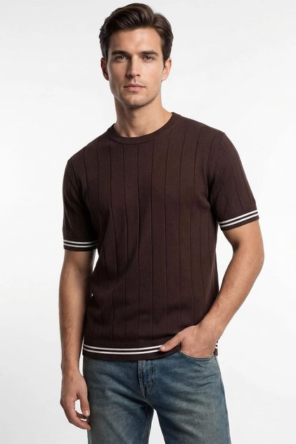 Çizgi Patterned Crew Neck Regular Fit Knitted Fine Knit Men's T-Shirt