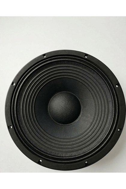 15 INCH Hoparlör (SPA1508)