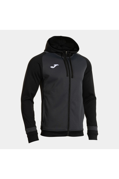 Phoenix III Zip-Up Sweatshirt Erkek Siyah 104300.151