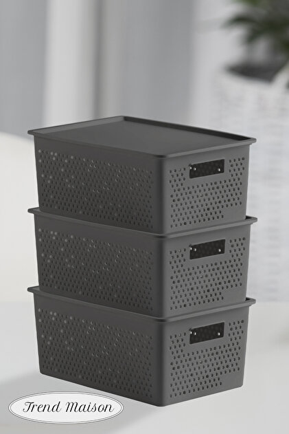 Trend Maison Çok Amaçlı Düzenleyici Organizer 4 L. Plastik Kapaklı