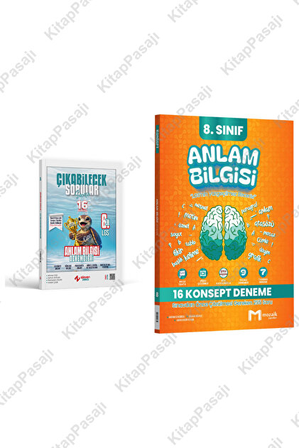 Mozaik Yayınları ve İşleyen Zeka 8. Sınıf LGS Anlam Bilgisi Deneme