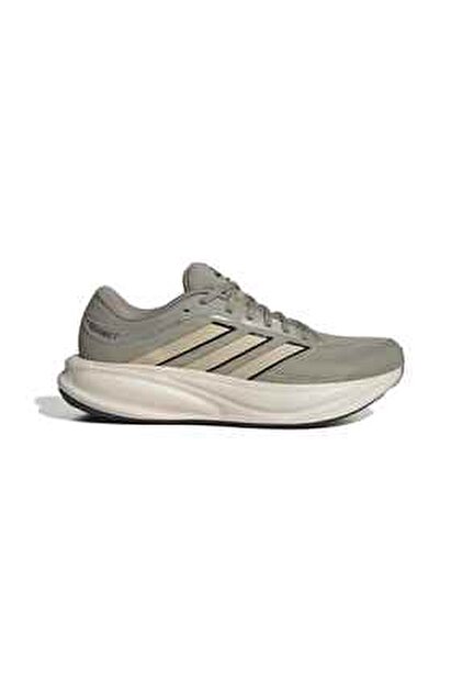 adidas Terrex Skychaser Ax5 Gtx Erkek Outdoor Ayakkabı JH7801