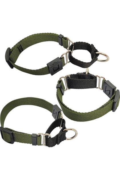 Handmade-Width 2 Cm. Martingale Training Leash. It Is for Dogs up to 30 Kilos