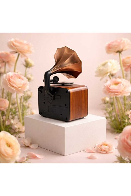 KAMSELL Everton Rt 605 Gramofon Görünümlü Orta Boy Radyo