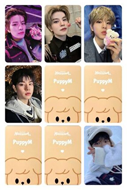 sevimliflower SEUNGMİN STRAY KİDS 1 ADET FOTOKART PVC KAPLI 9*6 CM