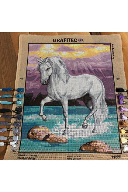 Grafıtec Baskılı Goblen At Temalı 50x60 cm İplikli Set