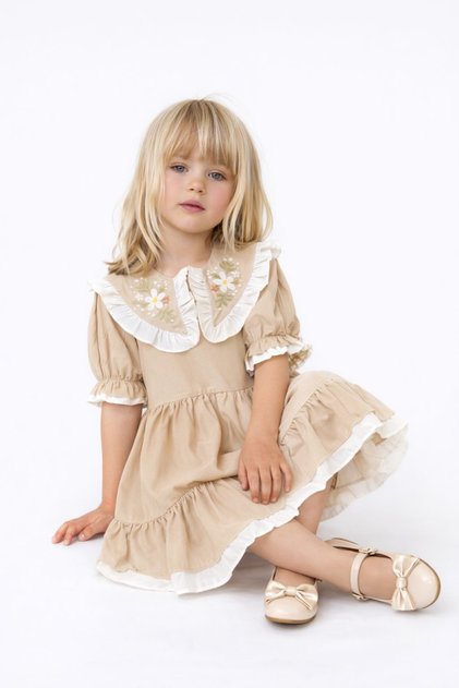 Girl's Baby Collar Embroidered Colorful Flared Sleeve Ruffle Dress