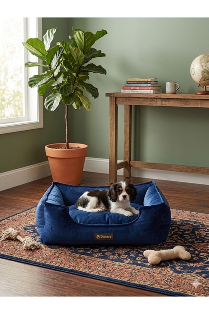 ptx28 kedife klasik kedi köpek yatağı