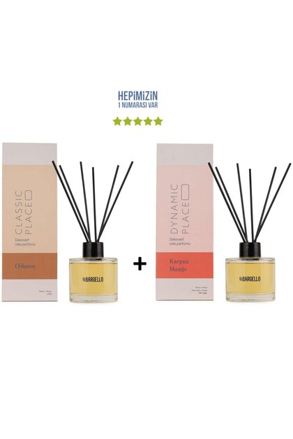 Odunsu Classic Place + Karpuz Mango Dynamic Place Dekoratif Ortam Kokusu 120 ml - Bambu Çubuklu
