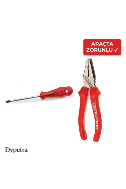 İzeltaş Yıldız Tornavida 6x100mm + Opak Pense 180mm Araç Takım