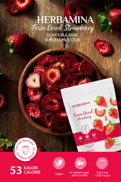 CBONE ギラ　GILLA 250 Herbamina Dondurularak Kurutulmuş Çilek - 20 gr - Fiyatı, Yorumları