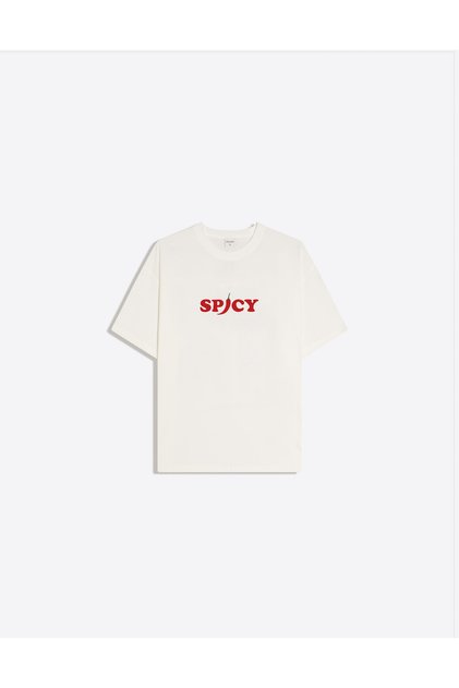 Spicy Printed Crew Neck Oversize Trendy Women's T-Shirt