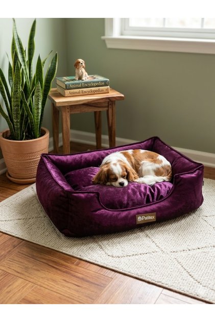 ptx28 kedife klasik kedi köpek yatağı