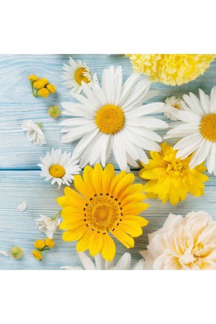 FLORES DE JARDIN DESENLİ KAĞIT PEÇETE