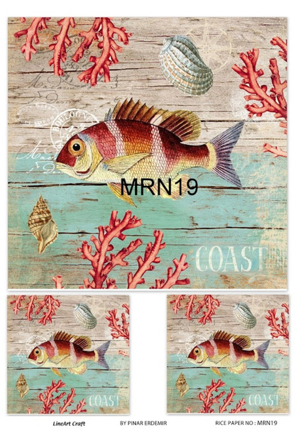 PİRİNÇ DEKOPAJ MRN19
