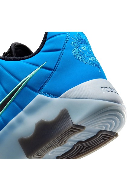 Nike LeBron Witness 9 Erkek Basketbol Ayakkabısı Mavi | HQ8034-400