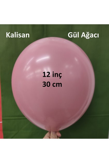 Retro Rosewood (Rosewood) Balloon 10 Pieces 12 Inches 30 cm