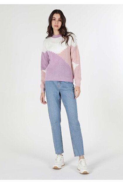 Regular Fit Patterned Multi-Colored Women's Knitwear Sweater Cl1062226