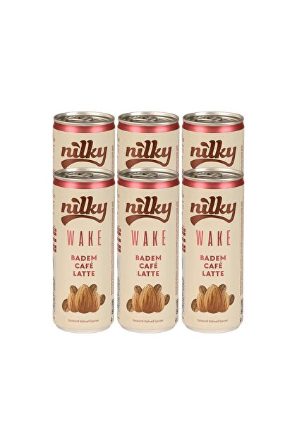 Wake Badem Sütlü Glütensiz Bitkisel Laktosuz Vegan Soğuk Kahve 6 x 250 ml