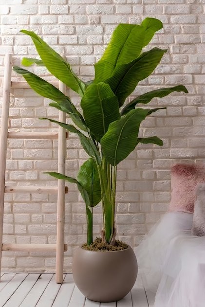 Yapay Muz Ağacı 180-190 Cm 30x30 Küre Saksı