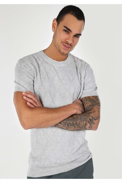 Regular Fit Round Neck Men's Gray Acrylic Sweater