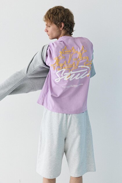 Pull & Bear Mor STWD t-shirt - Fiyatı, Yorumları